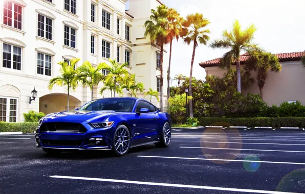 Mustang, Ford, Muscle, Car, Blue, Front, Sun, Summer