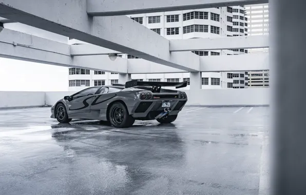 Lamborghini, Rear View, Diablo SV
