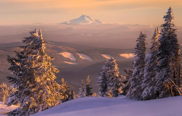 Картинка зима, лес, снег, пейзаж, закат, горы, природа, вид
