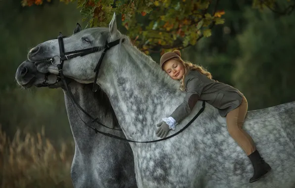 Картинка осень, настроение, кони, всадница, лошади, девочка, наездница