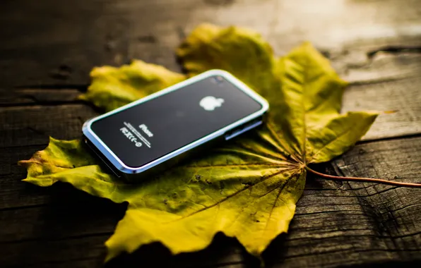 Листья, Осень, iphone4