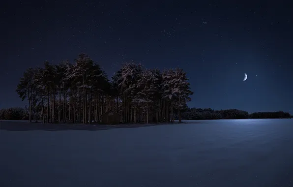 Зима, поле, лес, небо, звезды, снег, деревья, пейзаж