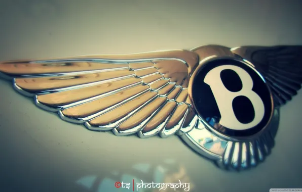 Car, logo, bentley, goodlife