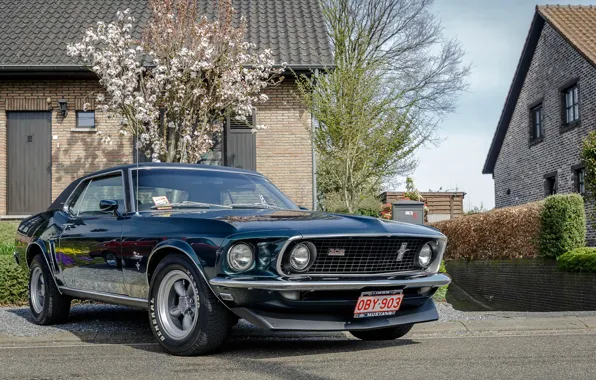 Картинка house, 1969, Mustang, Ford