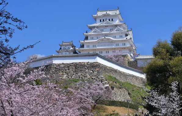 Замок, весна, Япония, сакура, Химедзи