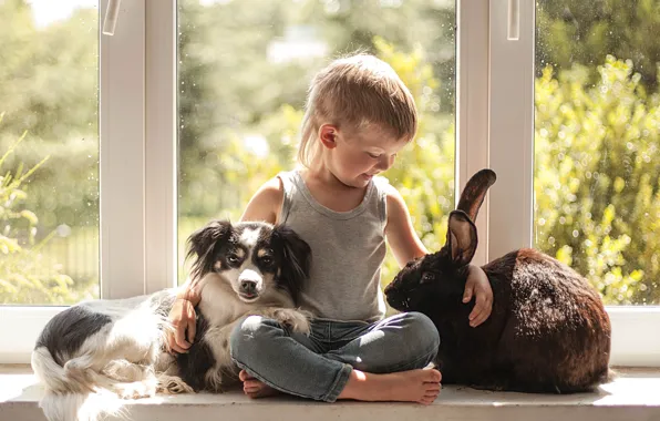 Картинка настроение, собака, мальчик, кролик, окно, дружба, друзья, на подоконнике