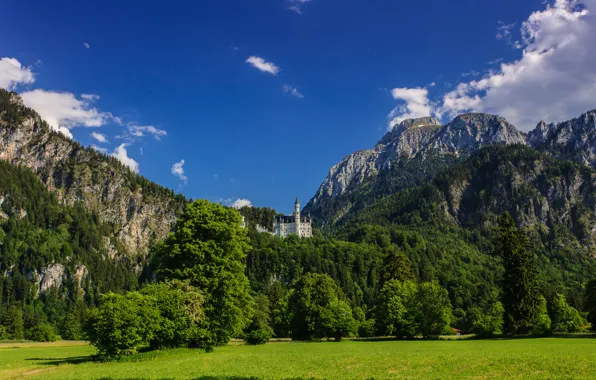 Картинка деревья, горы, Германия, Бавария, луг, Germany, Bavaria, Neuschwanstein Castle, Замок Нойшванштайн