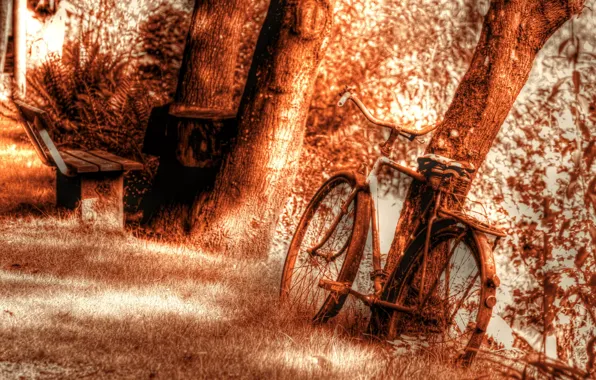 Картинка велосипед, фон, дерево, текстура, скамья