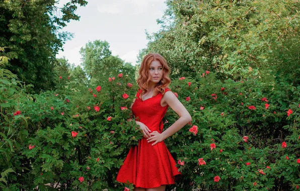 Girl, dress, nature, beautiful, model, roses, cute