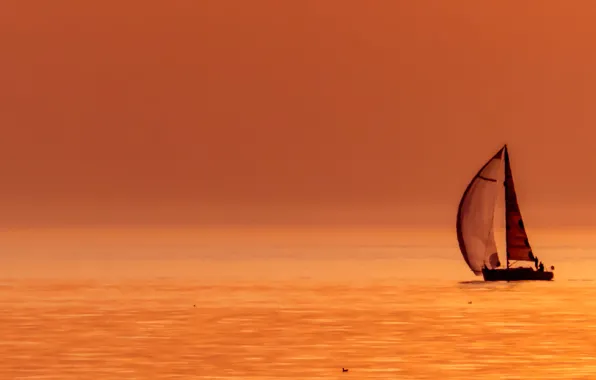 Море, закат, ветер, парусник, яхта, паруса, sunset, sail boat