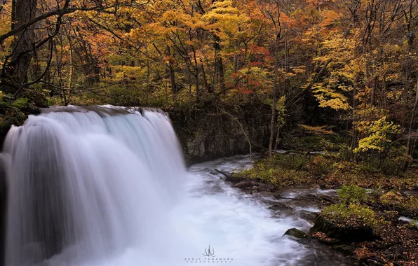 Осень, река, водопад, photographer, Kenji Yamamura