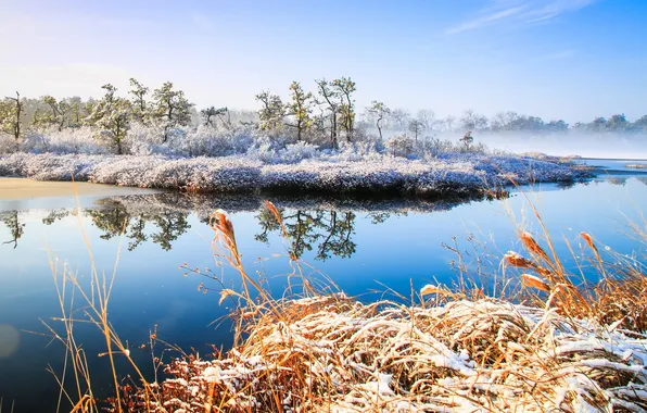 Зима, пейзаж, природа, река