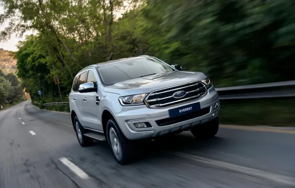 Дорога, деревья, разметка, Ford, ограждение, Everest, 4WD, XLT