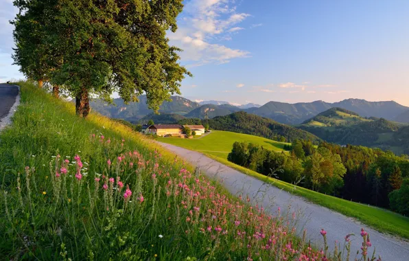 Дорога, пейзаж, горы, природа, город, дома, Германия, Бавария