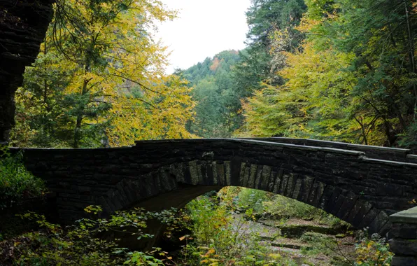 Картинка Мост, Осень, USA, США, Fall, Bridge, Autumn, Colors