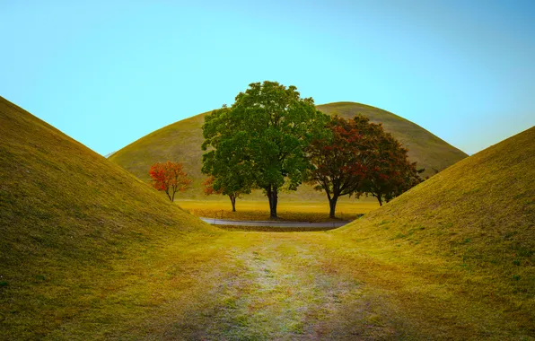 Картинка grass, road, sky, trees, landscape, nature, South Korea, hills