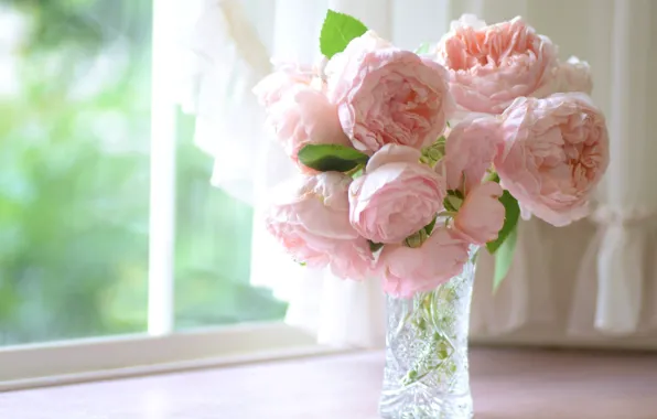 Розы, лепестки, окно, ваза, подоконник, розовые, бутоны