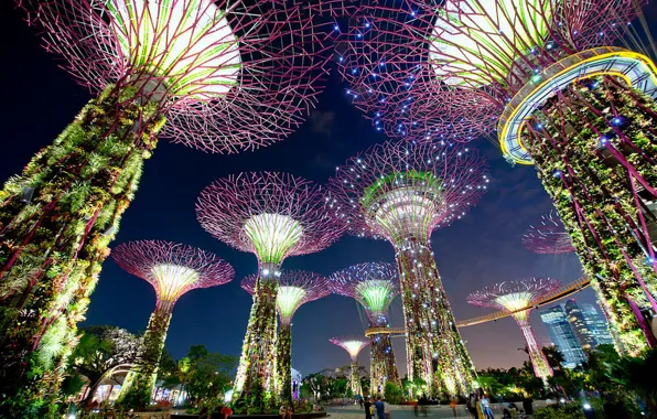 Огни, башни, Singapore, Gardens by the Bay, Сингапу́р