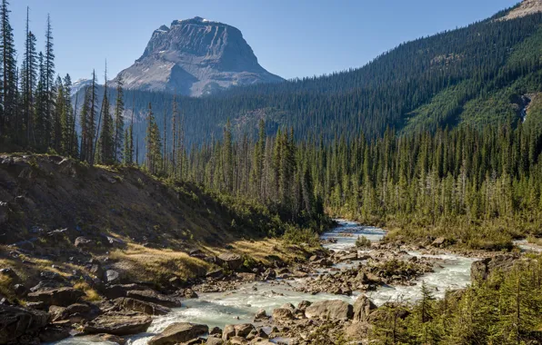 Парк, камни, сша, леса, реки, Yoho National Park