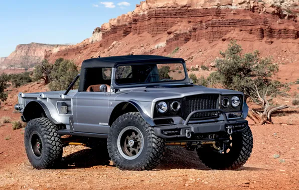 Gladiator, Jeep, 2019, M-715, Five-Quarter