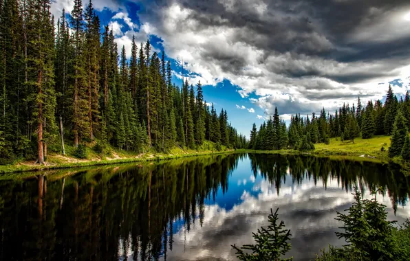 Картинка лес, лето, вода, облака, деревья, озеро, отражение