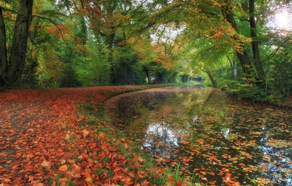 Осень, парк, река