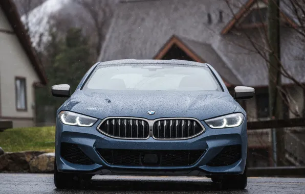Купе, BMW, 2018, сырость, 8-Series, 2019, бледно-синий, M850i xDrive