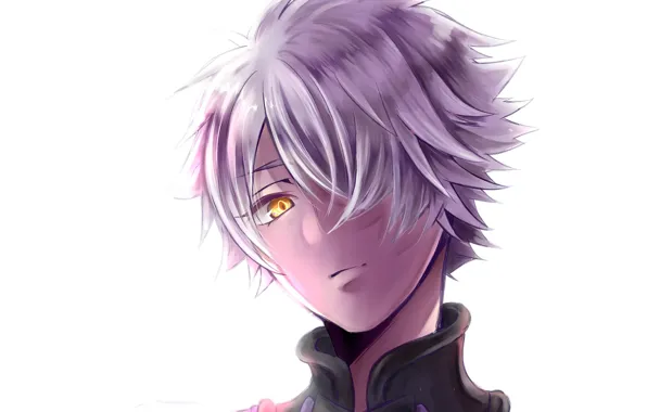 Взгляд, аниме, арт, парень, Fate Grand Order, Судьба великая кампания