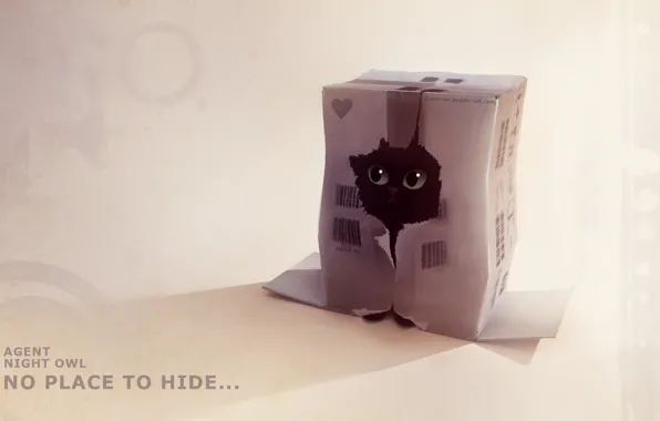 Котенок, коробка, рисунок, дырка, прячется, apofiss, agent night owl