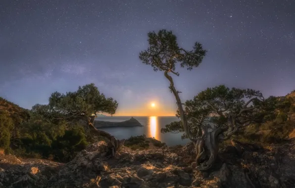 Море, деревья, пейзаж, горы, ночь, природа, скалы, луна