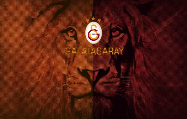 Wallpaper, sport, logo, football, Galatasaray SK