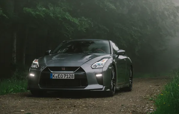 Nissan, GT-R, Gray, 2017