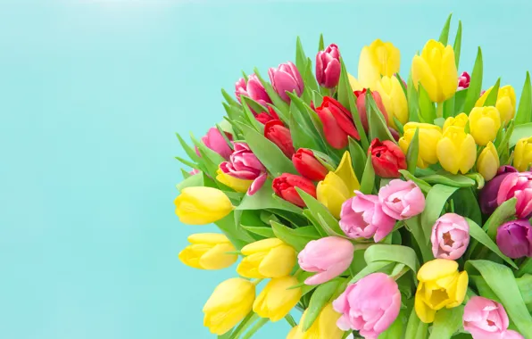 Картинка букет, colorful, тюльпаны