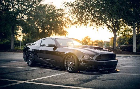 Car, city, Mustang, Ford, Ford Mustang, Black, vegetaion, Ford Mustang Shellby Black