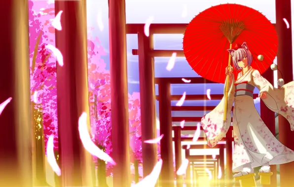 Магия, зонт, кимоно, жрица, ушки, touhou, Touhou Project, Inubashiri Momiji