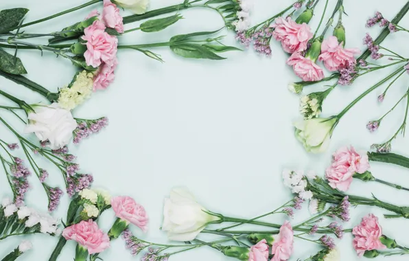Цветы, фон, композиция, эустома, гвоздики, Frame