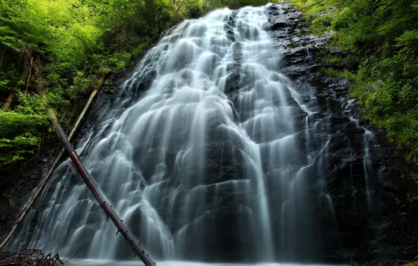 Зелень, лес, деревья, скала, камни, водопад