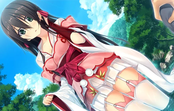 Sexy, anime, pretty, beauty, ero, thigh, bishojo, miko