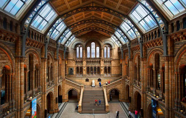 Англия, Лондон, лестница, ступени, зал, музей естественной истории