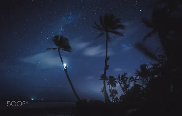 Картинка небо, звезды, свет, ночь, пальмы, океан, человек