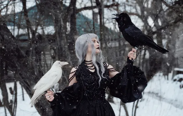 Зима, взгляд, девушка, снег, птицы, природа, поза, дом