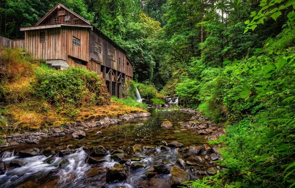 Картинка лес, река, мельница, Washington, штат Вашингтон, Woodland, Вудленд, Cedar Creek Grist Mill
