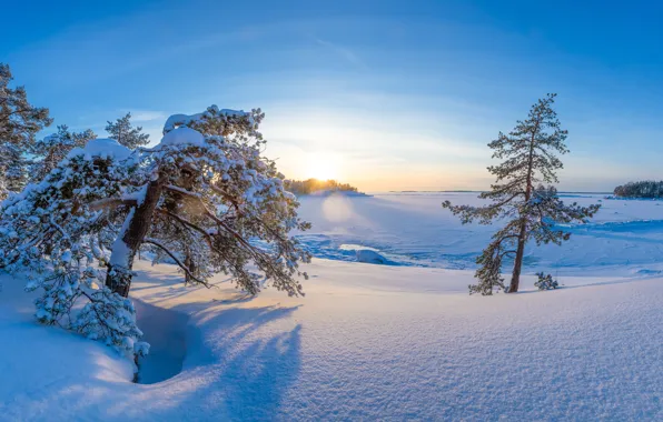Картинка зима, снег, деревья, рассвет, утро, сугробы, Финляндия, Finland