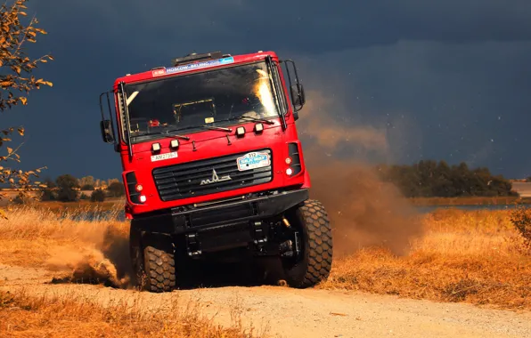 Красный, Спорт, Грузовик, Гонка, Rally, Ралли, Бездорожье, 312