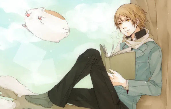 Кот, демон, парень, Natsume Yuujinchou, Няко-сенсей