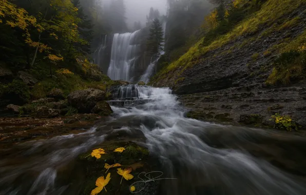 Картинка осень, лес, вода, природа, река, скалы, листва, водопад