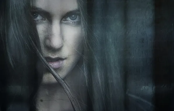 Взгляд, девушка, портрет