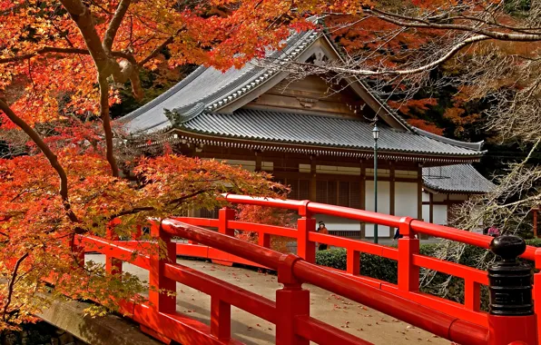 Картинка дорога, осень, листья, деревья, мост, Япония, храм, Japan