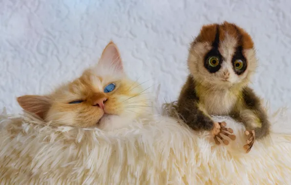 Кошка, кот, взгляд, морда, поза, игрушка, рыжий, лежит