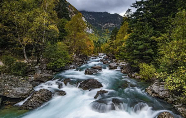 Пейзаж, природа, река, бурлит